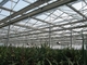 Bitkiler için %55 Arıtılmış Güneş Koruyucu Gölge Bezi Alüminyum Gölge Net enerji tasarruflu sera perdesi
