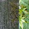 Balkon Ev Bahçe Bitkileri için Yeşil Anti Uv HDPE Güneşlik Net