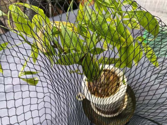 Havuz Anti Heron Koi Balık Göleti Net Koruma 15ft X 20ft Hdpe Kapakları