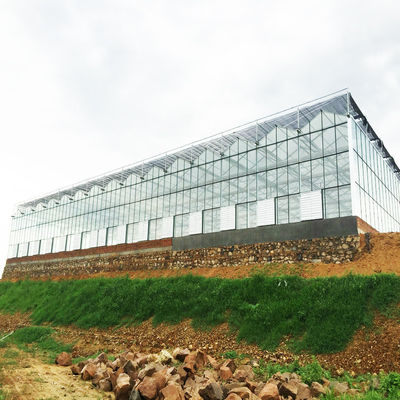 95 Windbreak Yeşil Agro Gölge Netleştirme HDPE Kumaş Gölge