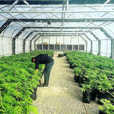 Sebze Bahçesi İçin% 60 Açık Patio Plastik Ağrı Gölge Ağları