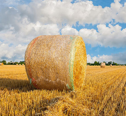 Uyarı Hattı ile 8.33GSM Balya Net Wrap Plastik Anti UV